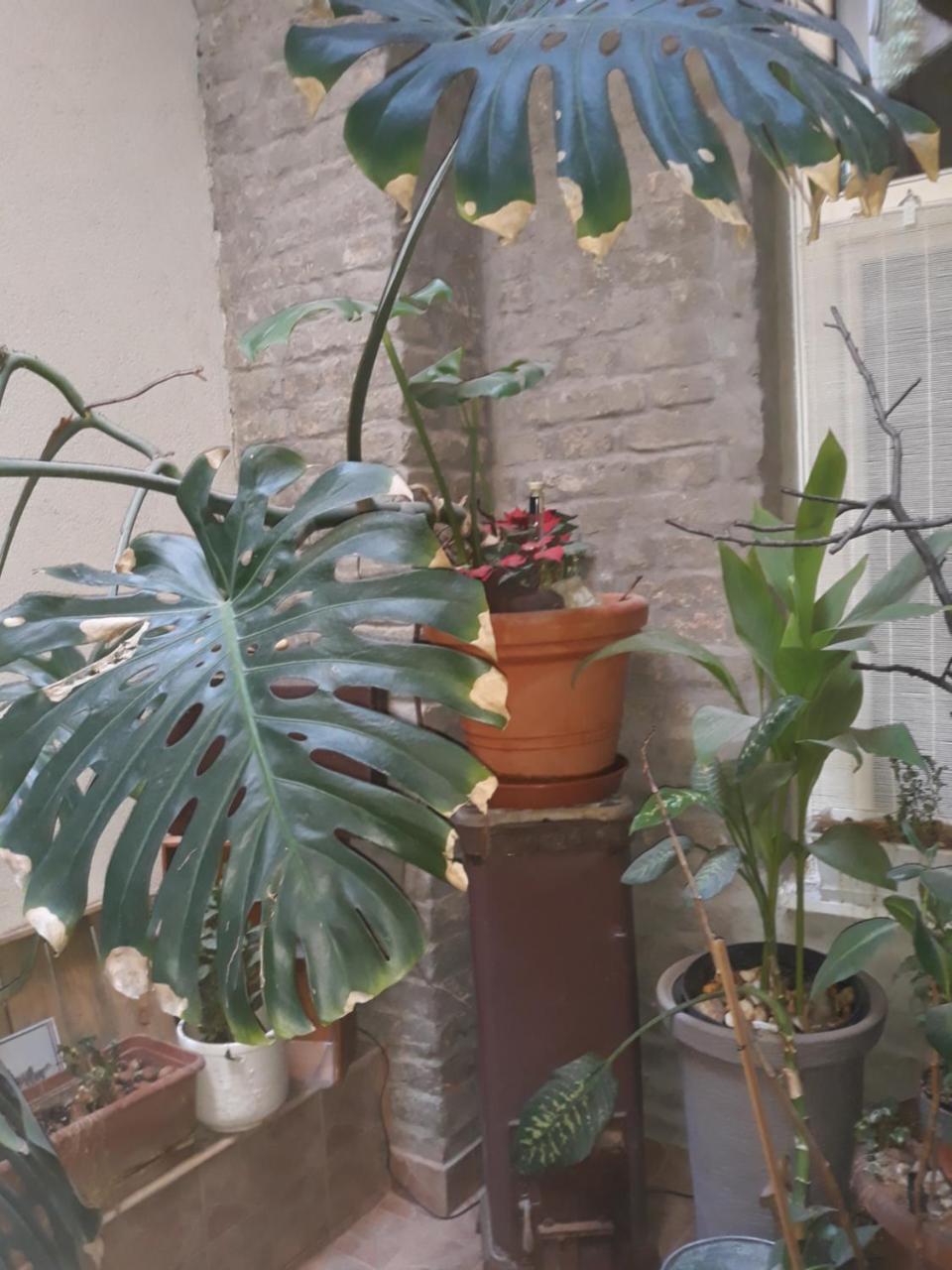 Connection Guesthouse บูดาเปสต์ ภายนอก รูปภาพ